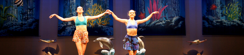 2012 recital senior dance