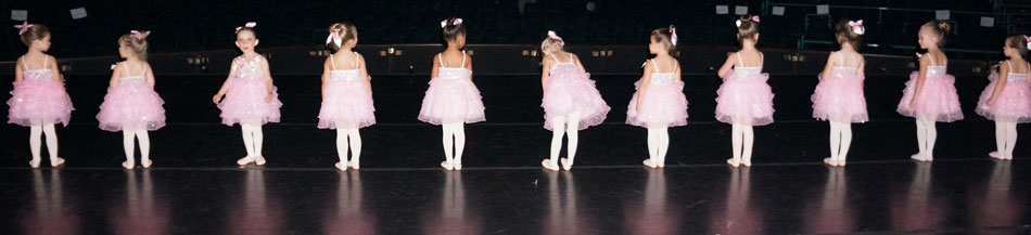 2014 Ruth Eckerd Hall dress rehearsal